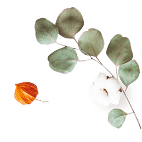 https://isaiahandpiper.com/wp-content/uploads/2020/10/floating_image_07.png