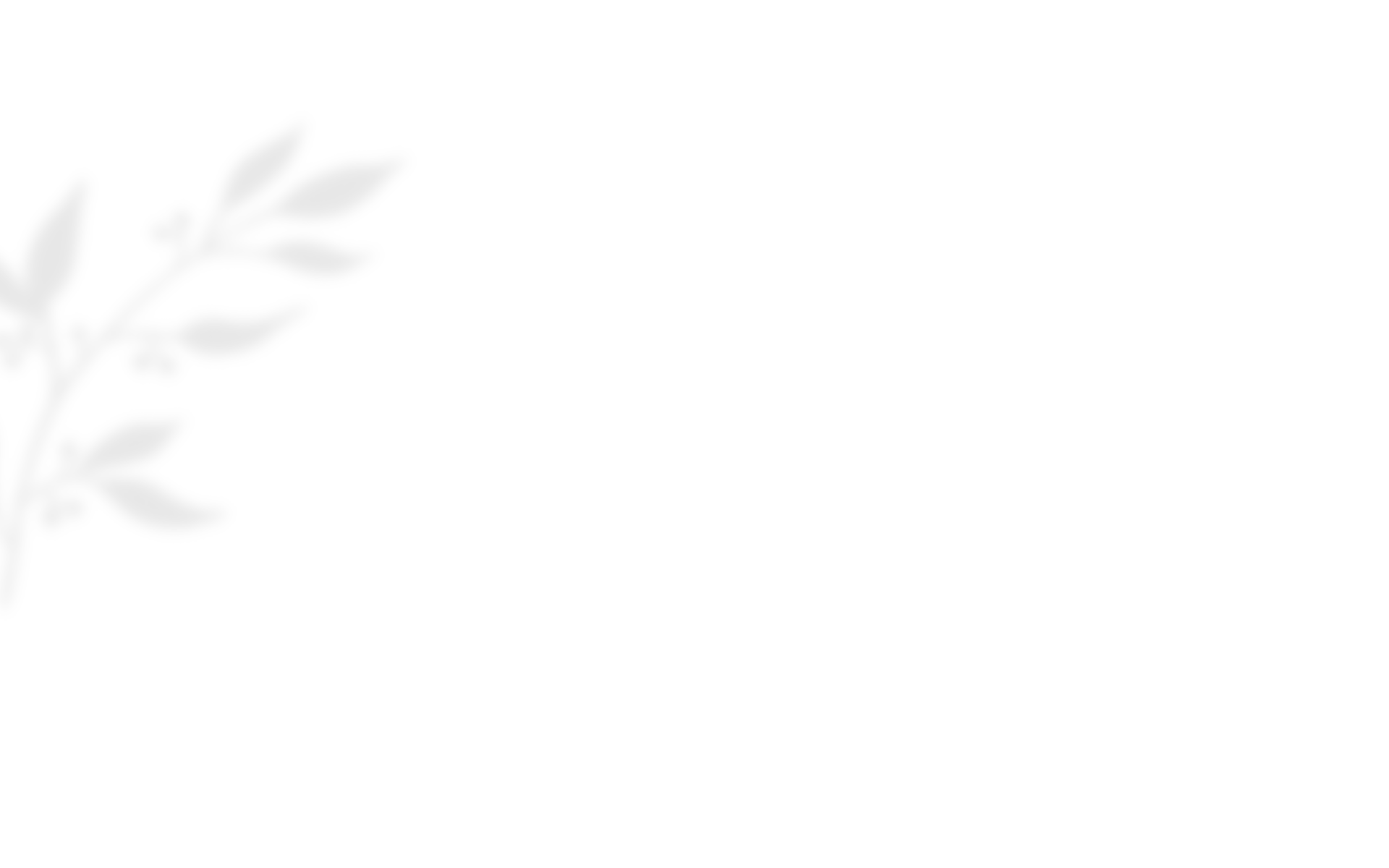 https://isaiahandpiper.com/wp-content/uploads/2020/10/shadow_leaves_03.png