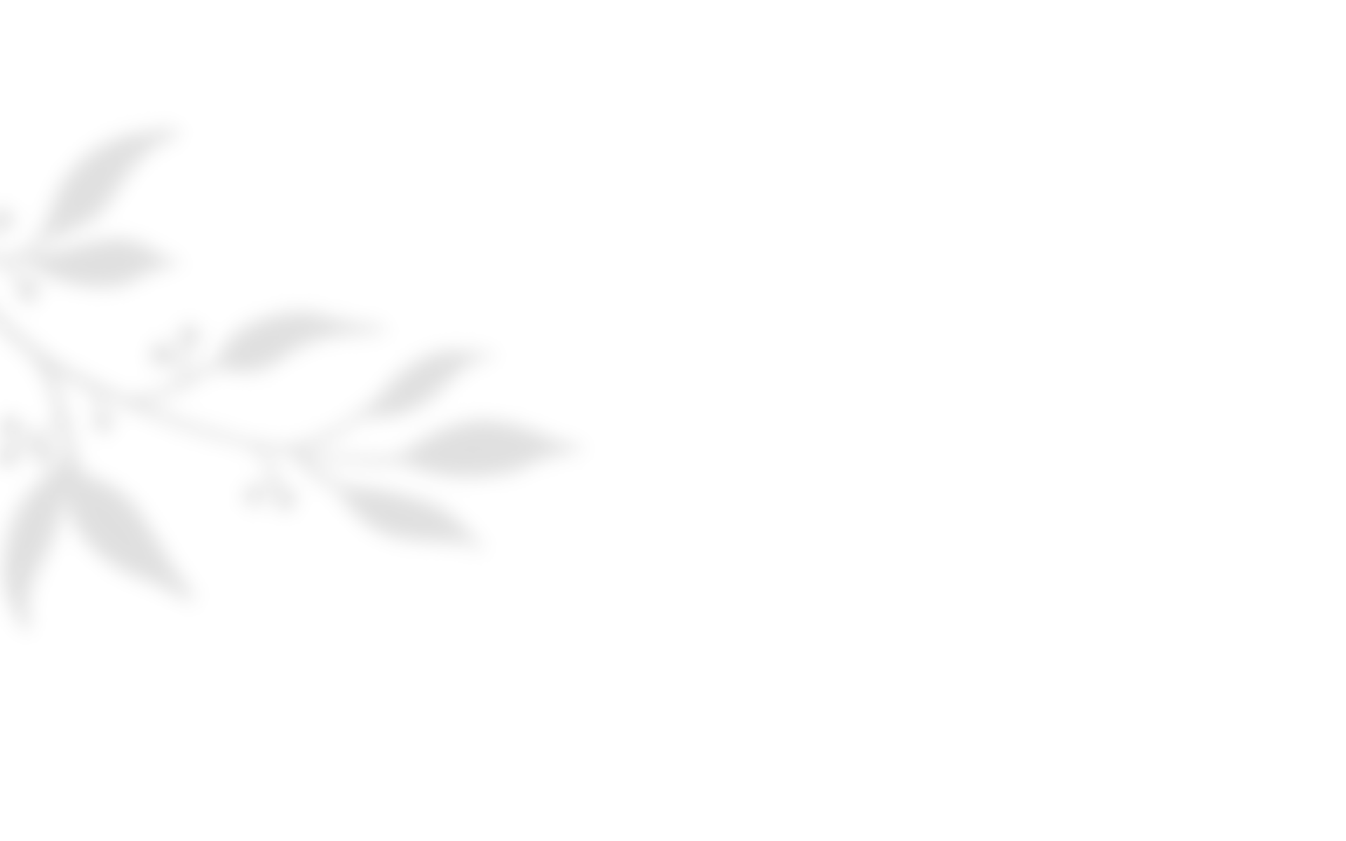 https://isaiahandpiper.com/wp-content/uploads/2020/10/shadow_leaves_04.png