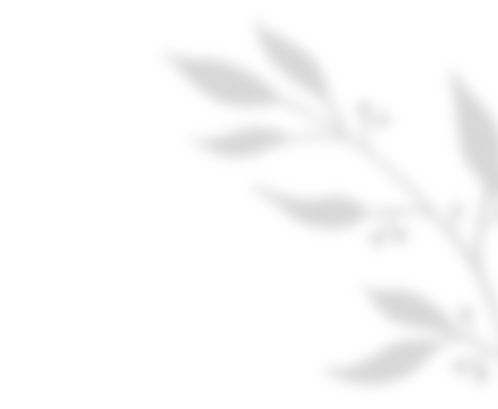 https://isaiahandpiper.com/wp-content/uploads/2020/11/shadow_leaves_01.png