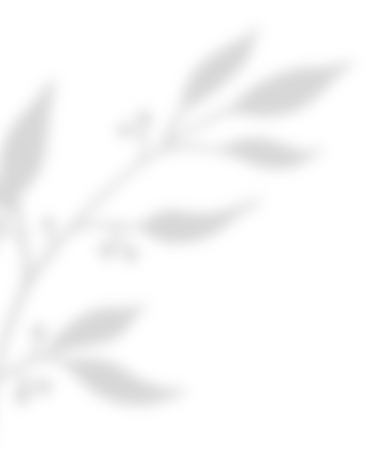 https://isaiahandpiper.com/wp-content/uploads/2020/11/shadow_leaves_02.png