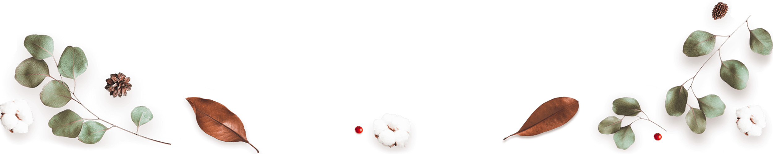 https://isaiahandpiper.com/wp-content/uploads/2020/12/floating_image_03.png