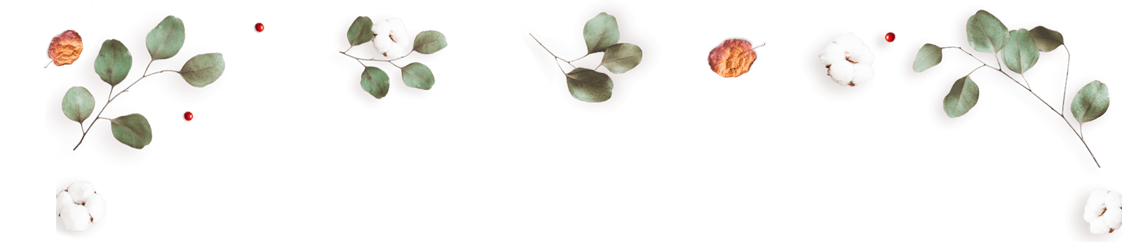 https://isaiahandpiper.com/wp-content/uploads/2020/12/floating_image_12.png