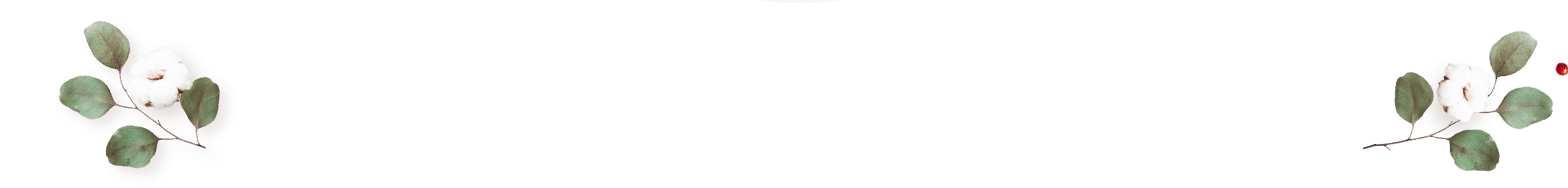 https://isaiahandpiper.com/wp-content/uploads/2020/12/floating_image_couples_02.png