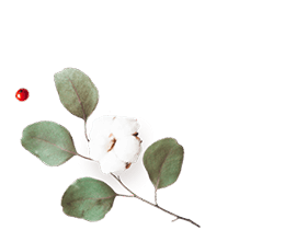 https://isaiahandpiper.com/wp-content/uploads/2020/12/floating_image_flower_01.png