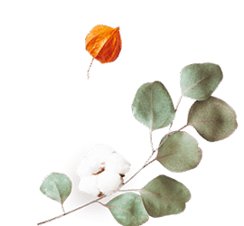 https://isaiahandpiper.com/wp-content/uploads/2020/12/floating_image_flower_02.png