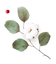 https://isaiahandpiper.com/wp-content/uploads/2020/12/floating_image_flower_03.png