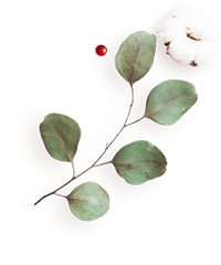 https://isaiahandpiper.com/wp-content/uploads/2020/12/floating_image_flower_04.png